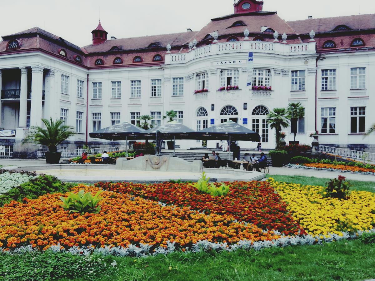 Apartment Alice Center Карлові Вари Екстер'єр фото